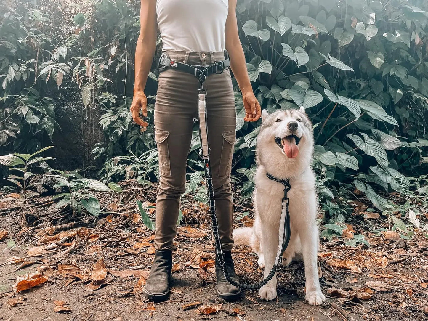 Hands Free Dog Leash Heavy Duty Bungee Waist Belt Reflective Training