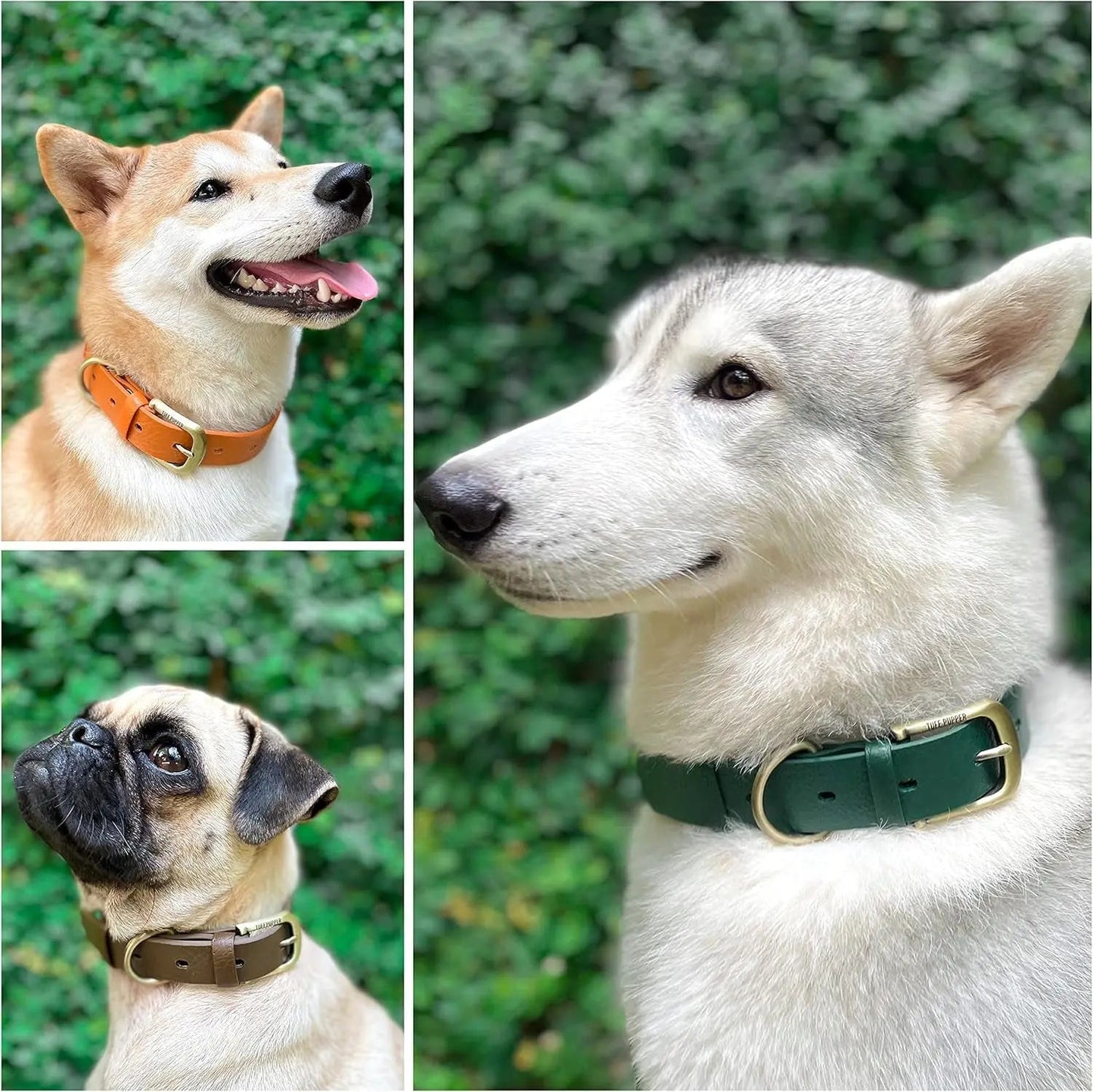 Heavy Duty Waterproof Dog Collar Metal Buckle Odor Proof XS–L (all colors)