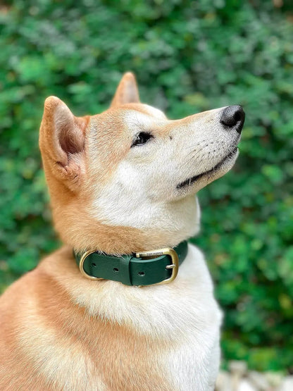 Heavy Duty Waterproof Dog Collar Metal Buckle Odor Proof XS–L (all colors)