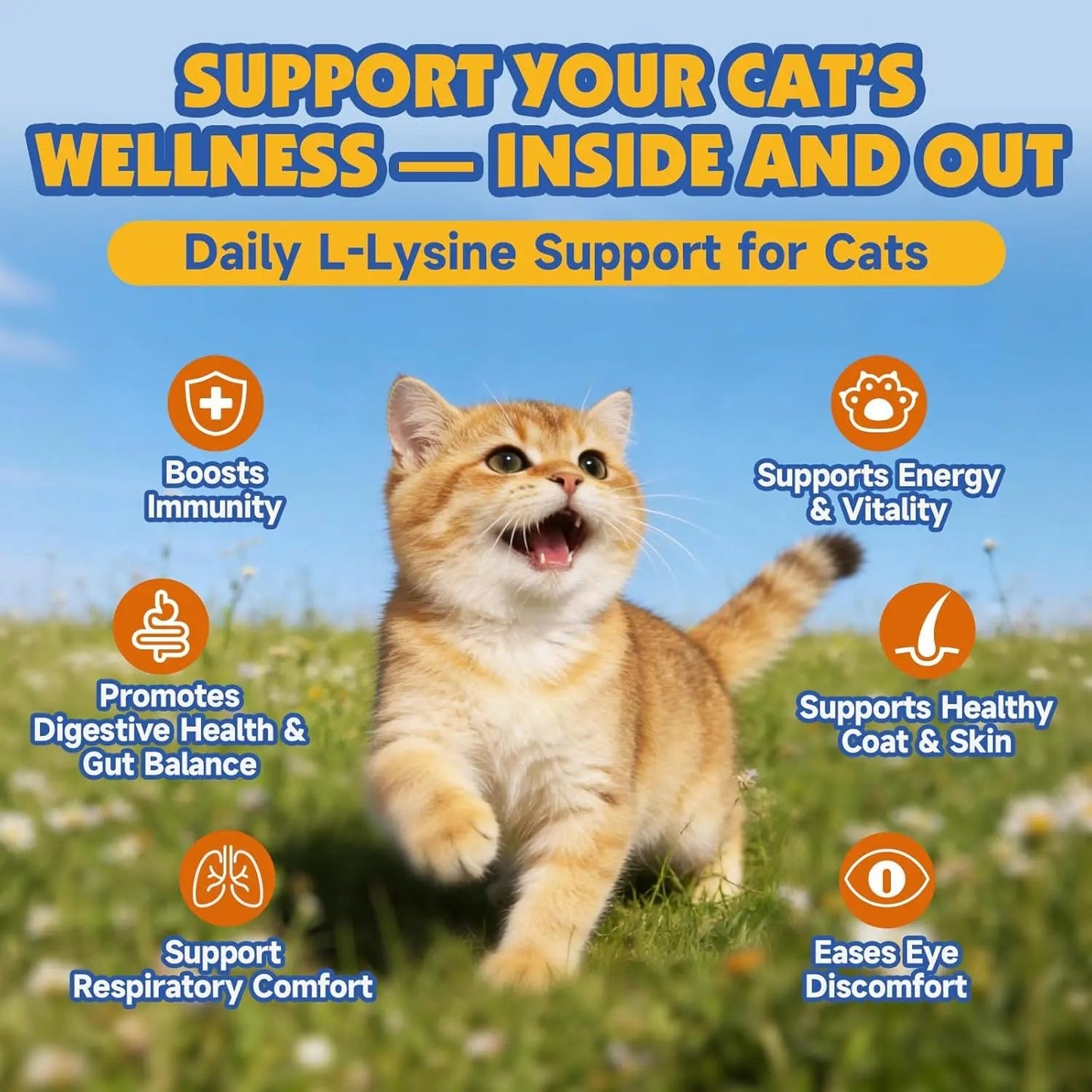 L-Lysine Paste for Cats Taurine Omega 3 Immune Eye Respiratory 60ml