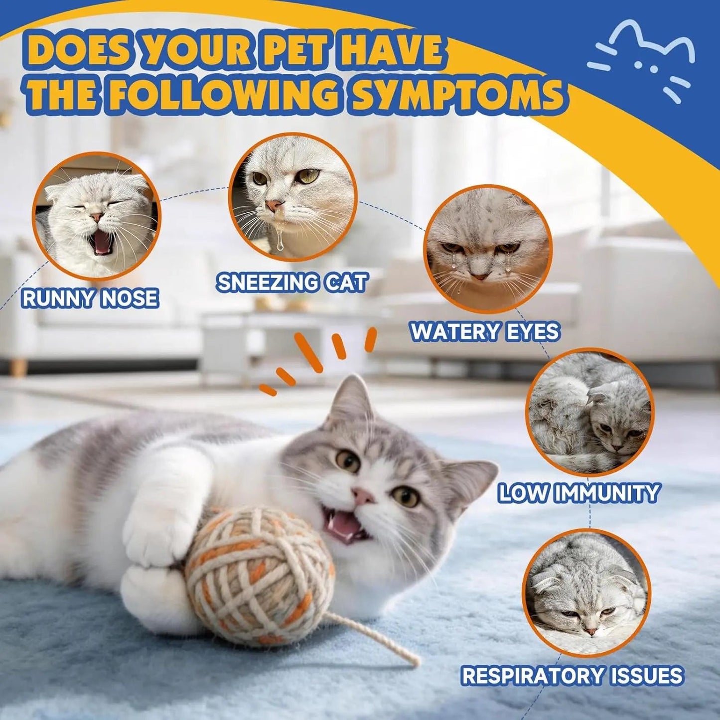 L-Lysine Paste for Cats Taurine Omega 3 Immune Eye Respiratory 60ml