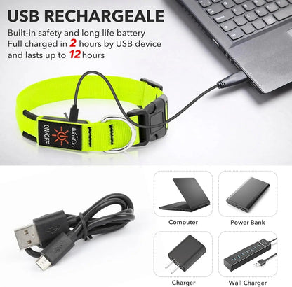 LED Dog Collar Rechargeable Light-Up Safety Collar for Night Walking (colors)