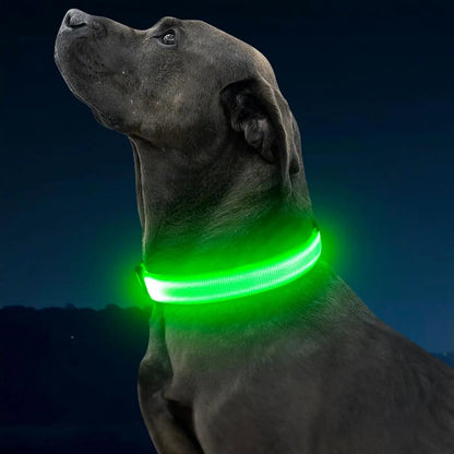 LED Dog Collar Rechargeable Light-Up Safety Collar for Night Walking (colors)