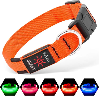 LED Dog Collar Rechargeable Light-Up Safety Collar for Night Walking (colors)