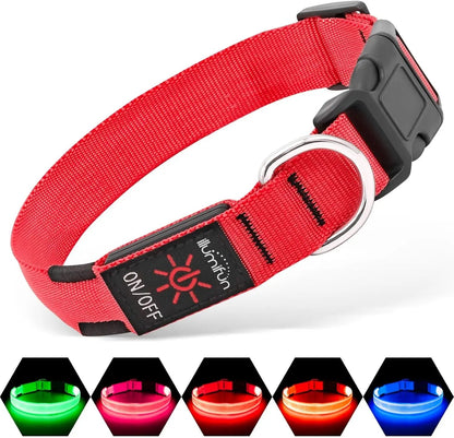 LED Dog Collar Rechargeable Light-Up Safety Collar for Night Walking (colors)
