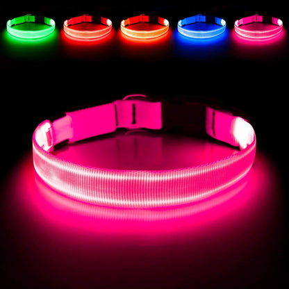 LED Dog Collar Rechargeable Light-Up Safety Collar for Night Walking (colors)