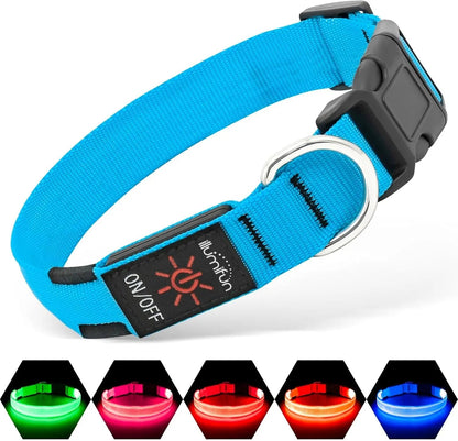 LED Dog Collar Rechargeable Light-Up Safety Collar for Night Walking (colors)