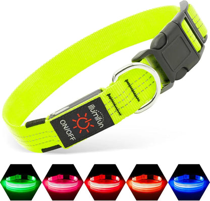 LED Dog Collar Rechargeable Light-Up Safety Collar for Night Walking (colors)