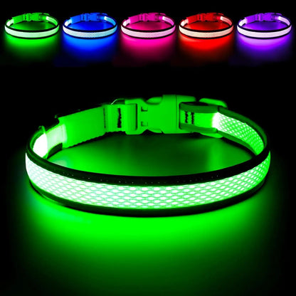 LED Dog Collar USB Rechargeable Light Up Safety Collar - All Colors/ Sizes