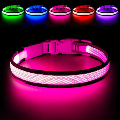 LED Dog Collar USB Rechargeable Light Up Safety Collar - All Colors/ Sizes