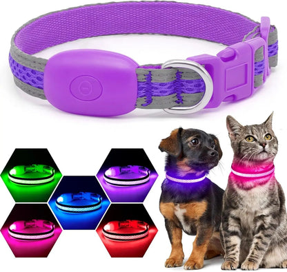 LED Dog Collar USB Rechargeable Light Up Safety Collar - All Colors/ Sizes