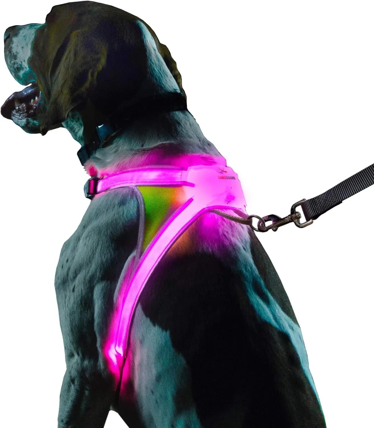 LED Light-Up Dog Harness – USB Rechargeable Reflective Adjustable Safety Vest