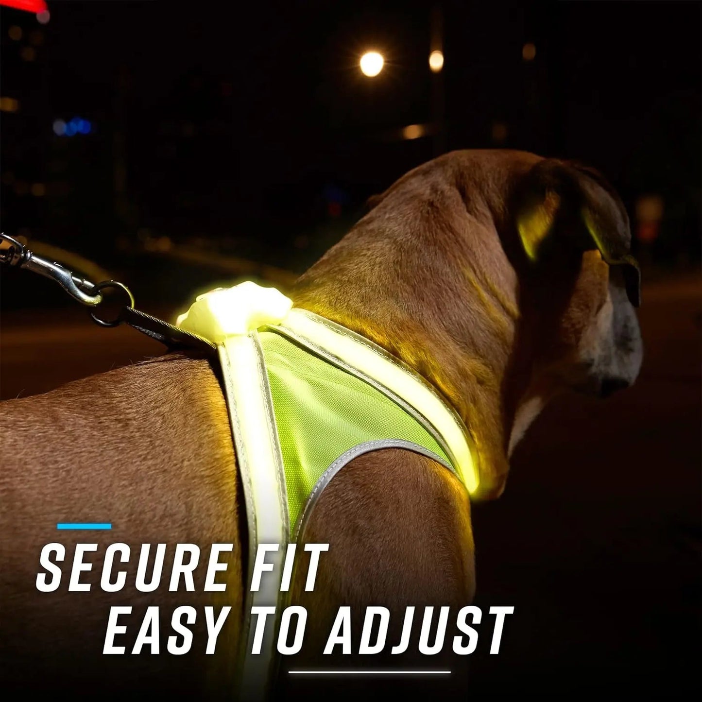 LED Light-Up Dog Harness – USB Rechargeable Reflective Adjustable Safety Vest