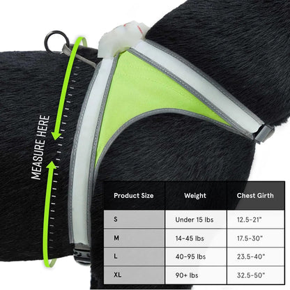LED Light-Up Dog Harness – USB Rechargeable Reflective Adjustable Safety Vest