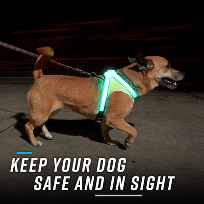 LED Light-Up Dog Harness – USB Rechargeable Reflective Adjustable Safety Vest