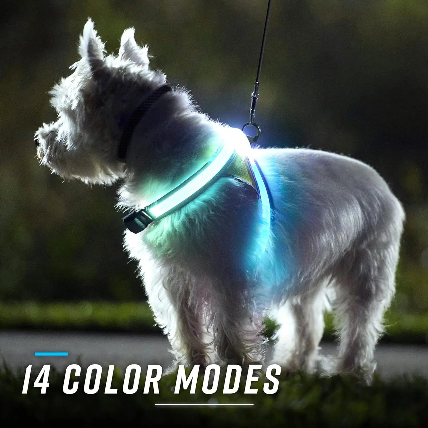 LED Light-Up Dog Harness – USB Rechargeable Reflective Adjustable Safety Vest