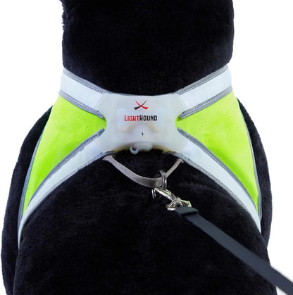 LED Light-Up Dog Harness – USB Rechargeable Reflective Adjustable Safety Vest