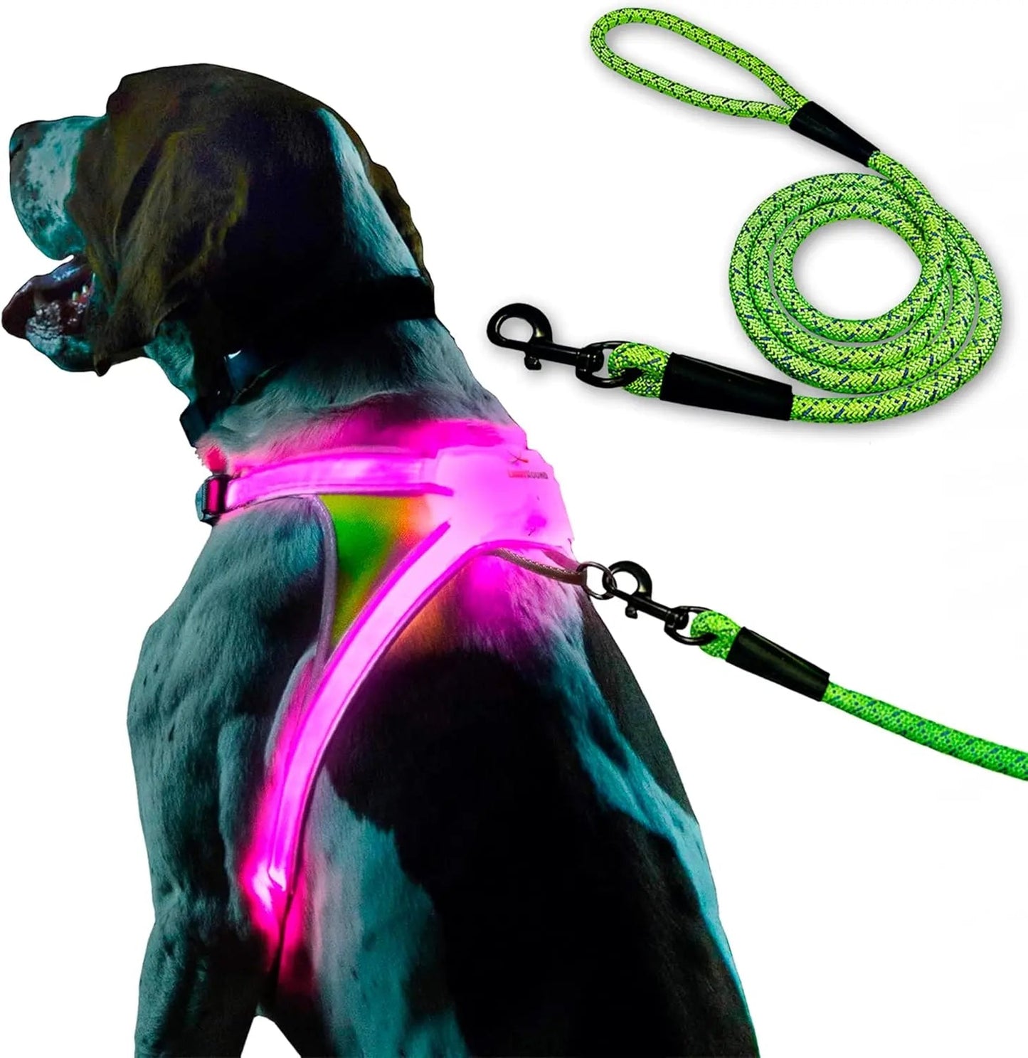 LED Light-Up Dog Harness – USB Rechargeable Reflective Adjustable Safety Vest