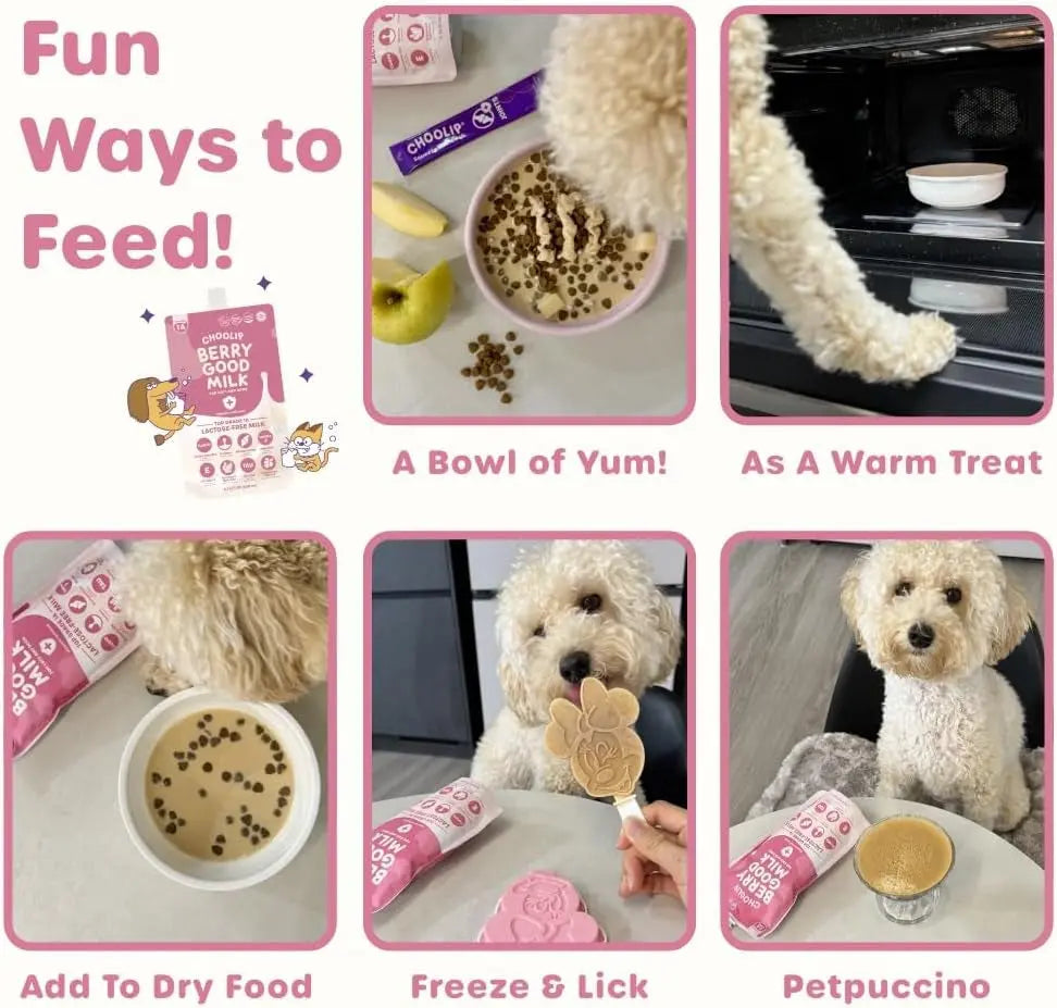 Lactose-Free Vitamin Milk for Cats & Dogs, 10-Pack Pet Nutrition Drink