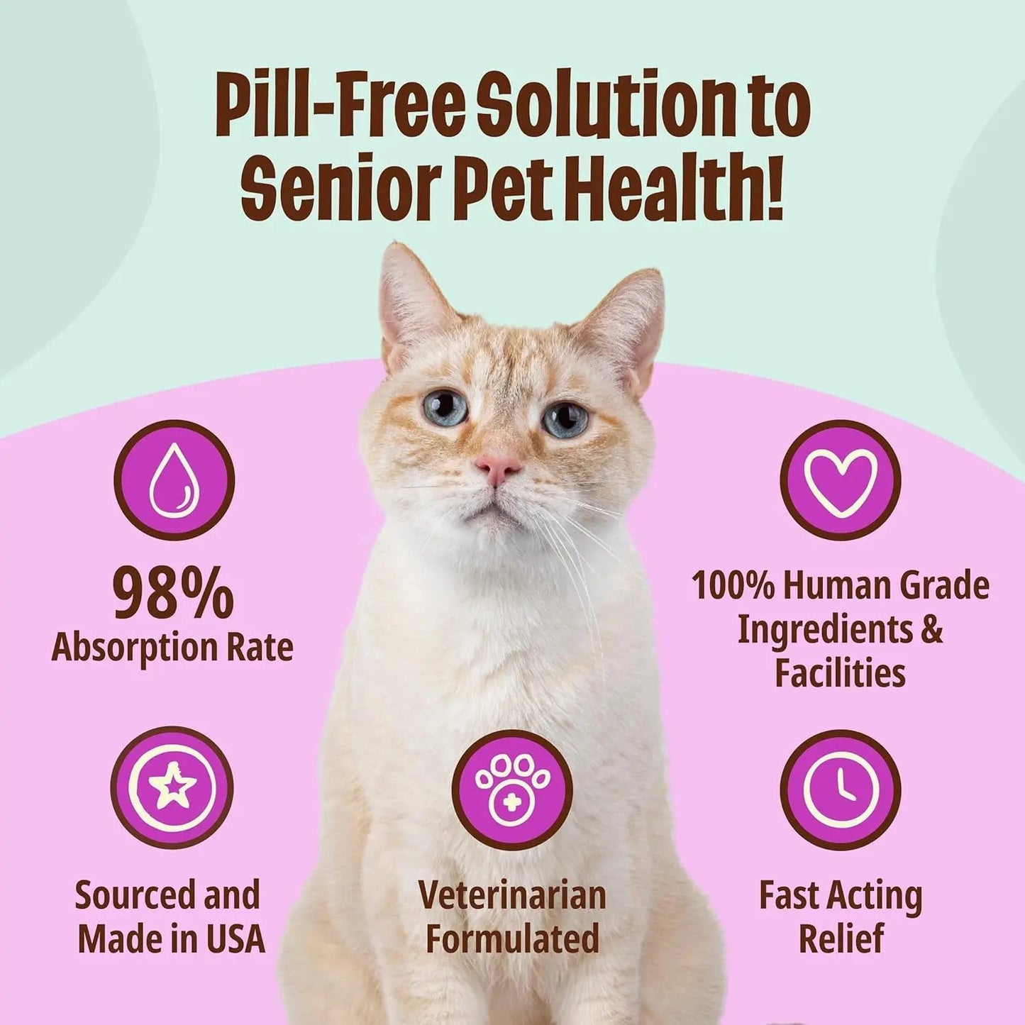 Senior Cat Gel Supplement Omega 3 Taurine Lysine Mobility Immune 30 Pack