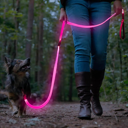 Light Up LED Dog Leash 6FT – USB Rechargeable Glow Leash for Night Safety
