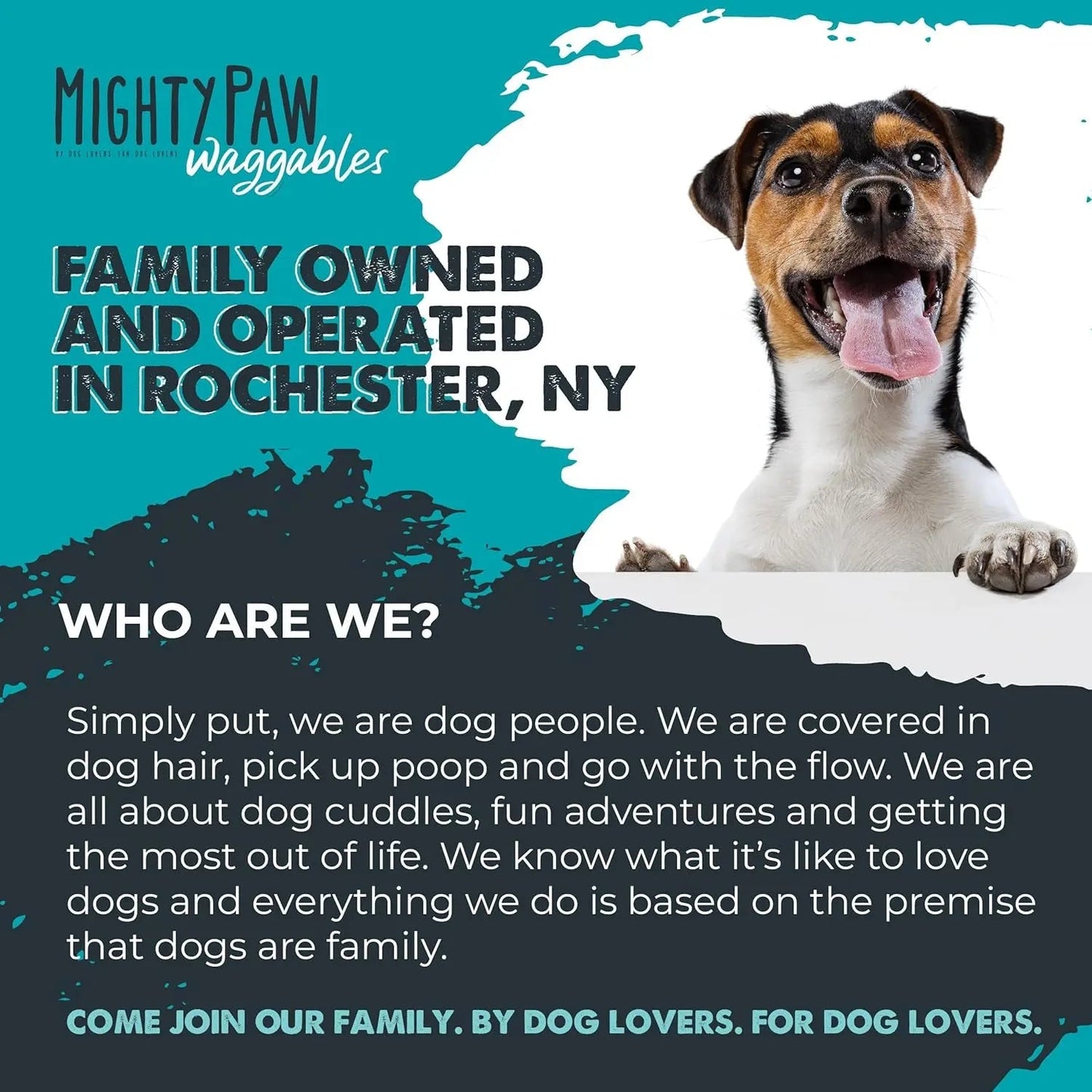 Mighty Scoot Dog Anal Gland & Digestive Support Fiber Chews 120 Ct