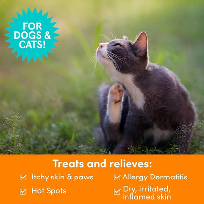 Nootie Dog Cat Shampoo Anti Itch Oatmeal Lidocaine Hot Spot Relief