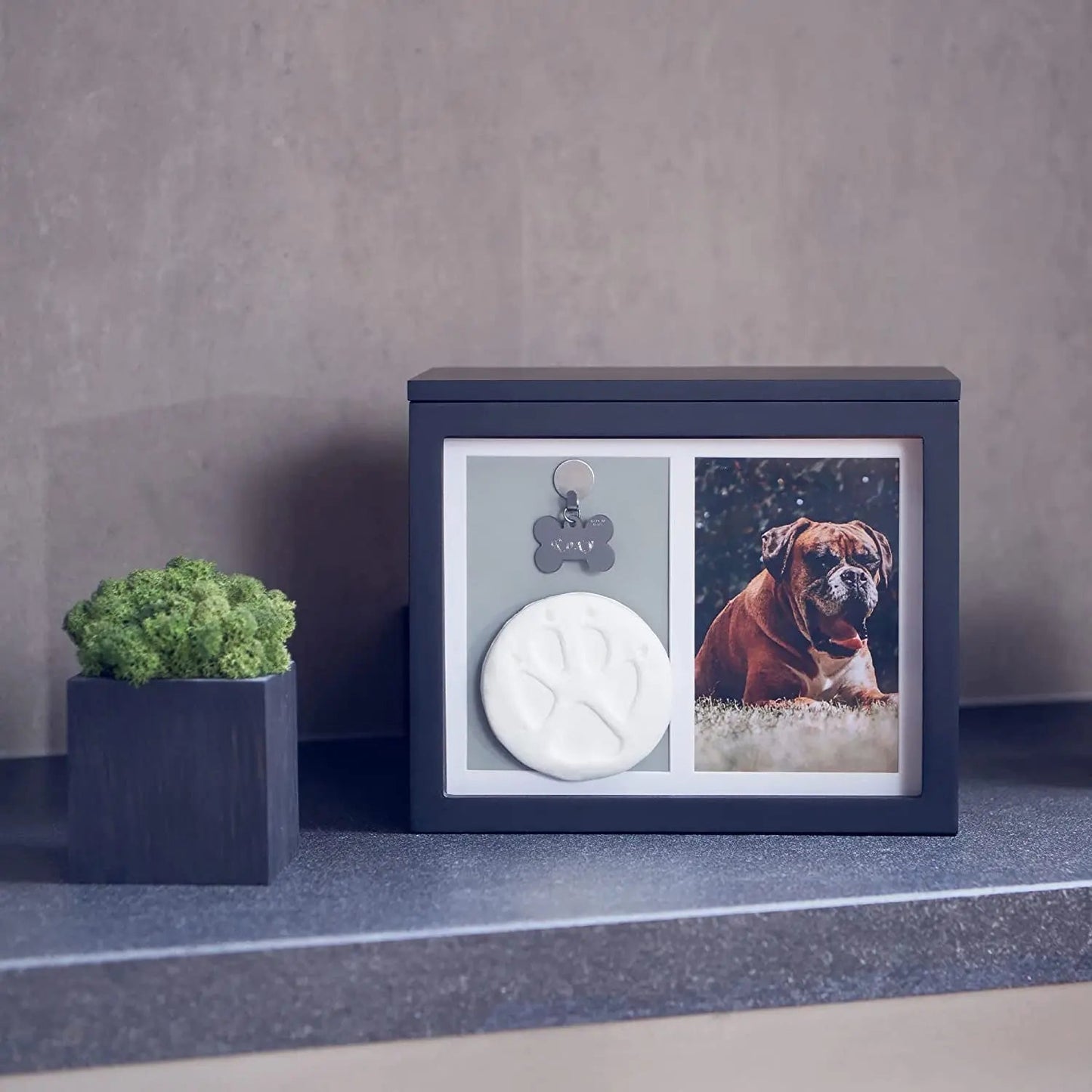Pet Memorial Urn Keepsake Box with Photo Frame, Paw Print Kit & Photo Album