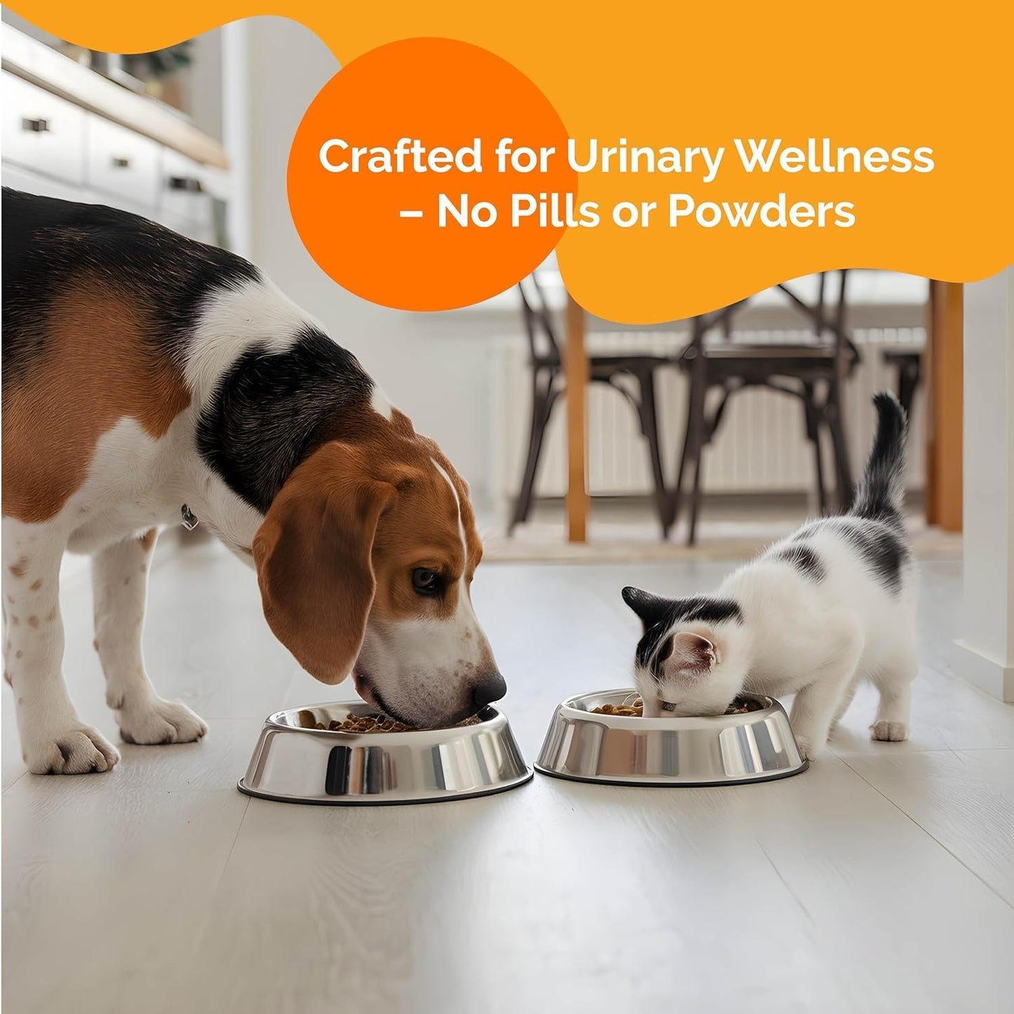 Pet Urinary Tract Support Drops Cat Dog Bladder Kidney Cranberry Chamomile