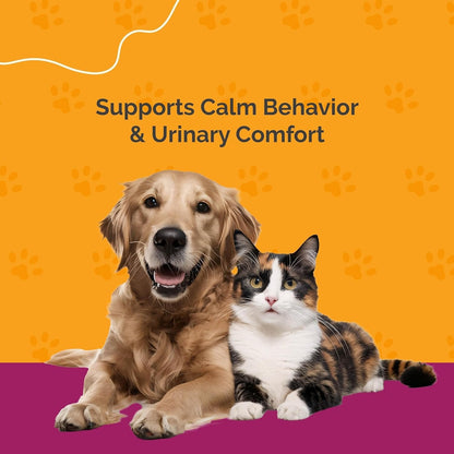 Pet Urinary Tract Support Drops Cat Dog Bladder Kidney Cranberry Chamomile