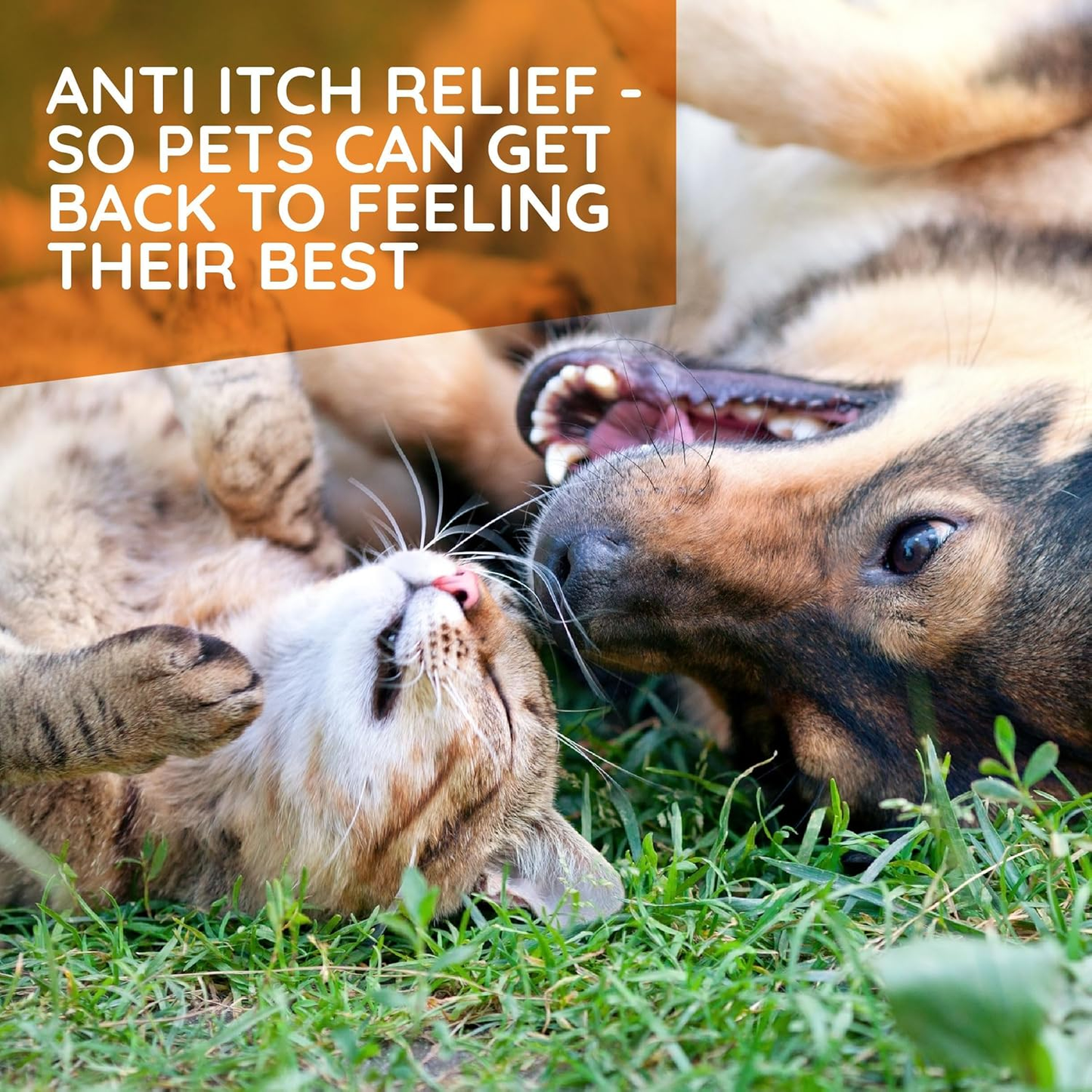 Pet Allergy Relief Tablets Dogs Cats Itchy Skin Hot Spots Natural 90ct