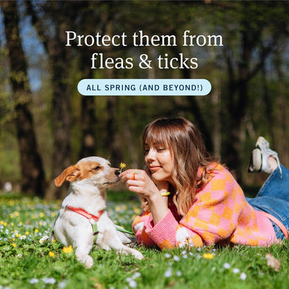 PetArmor Plus Flea Tick Treatment Dogs Waterproof Fast Acting 5-132lbs
