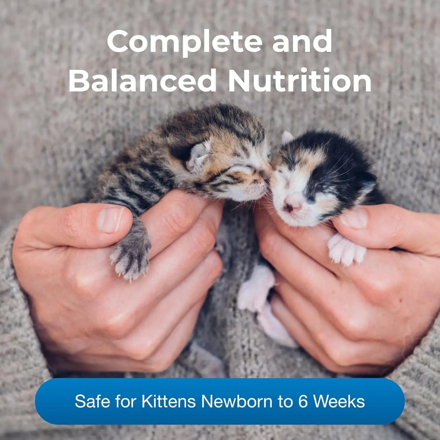 PetLac Kitten Milk Replacer Powder 10.5 oz – Easy Digest Formula