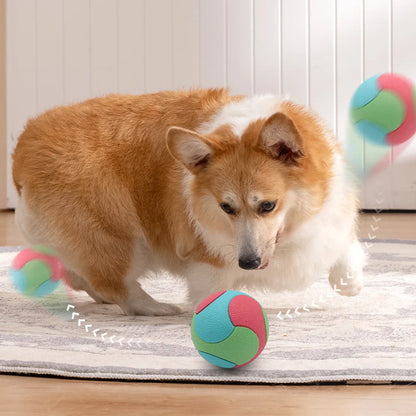 TPR Bounce Ball for Dogs: Chew-Proof Elastic Toy for Aggressive Chewers - Self-Play Fun and Dental Health