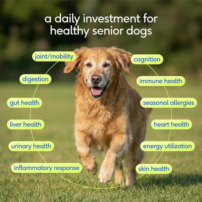 Senior Dog Multivitamin Powder 12-in-1 Joint Brain Digestion Immune 30 Scoops