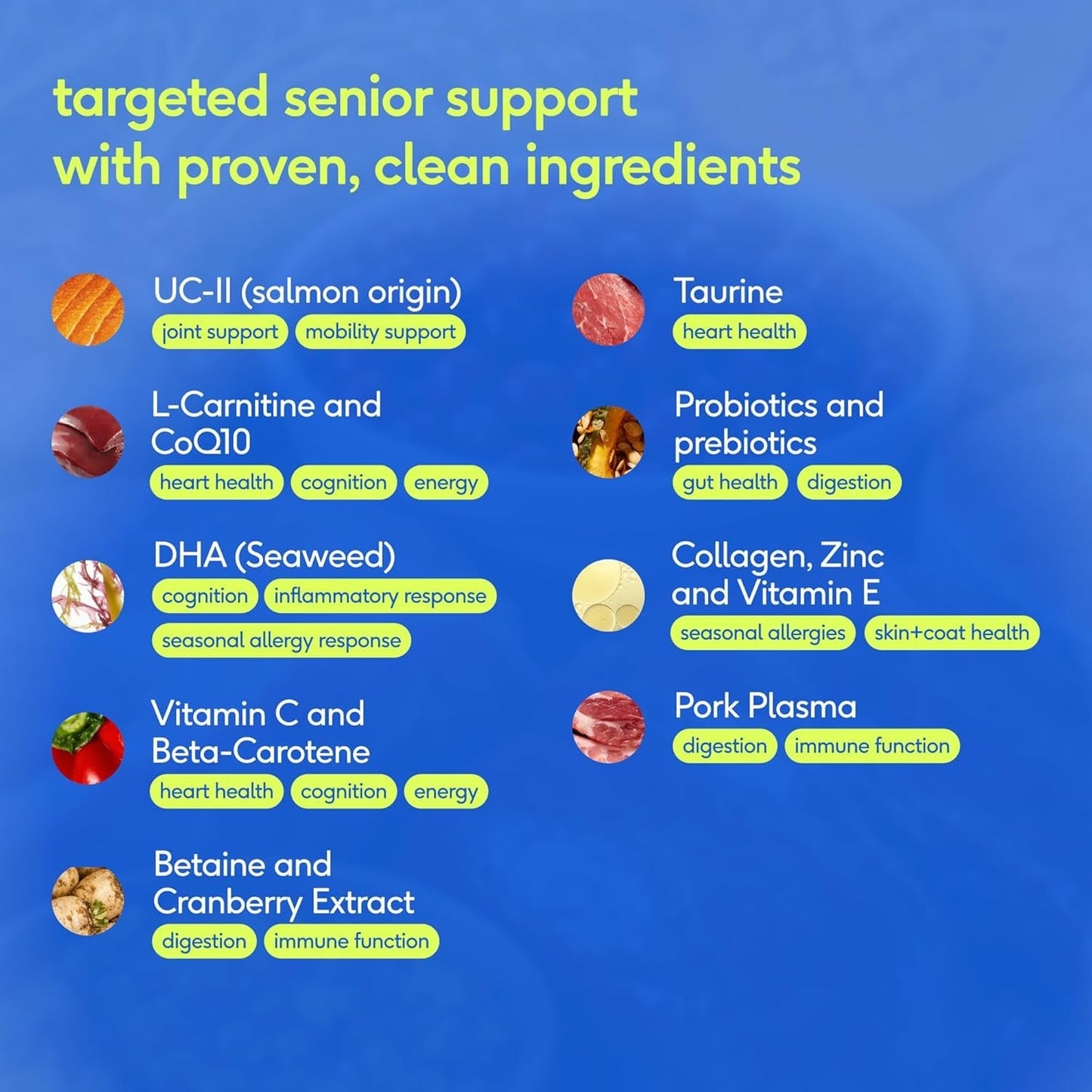 Senior Dog Multivitamin Powder 12-in-1 Joint Brain Digestion Immune 30 Scoops