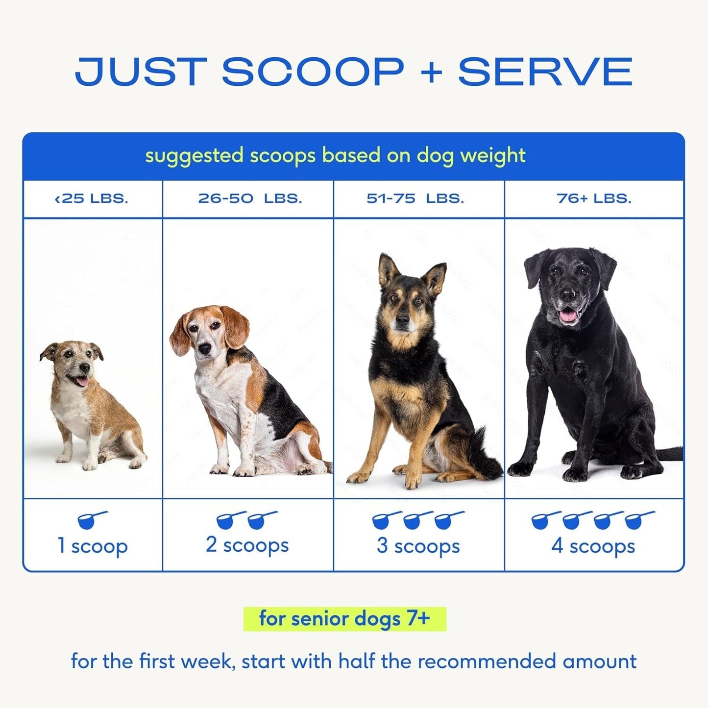 Senior Dog Multivitamin Powder 12-in-1 Joint Brain Digestion Immune 30 Scoops