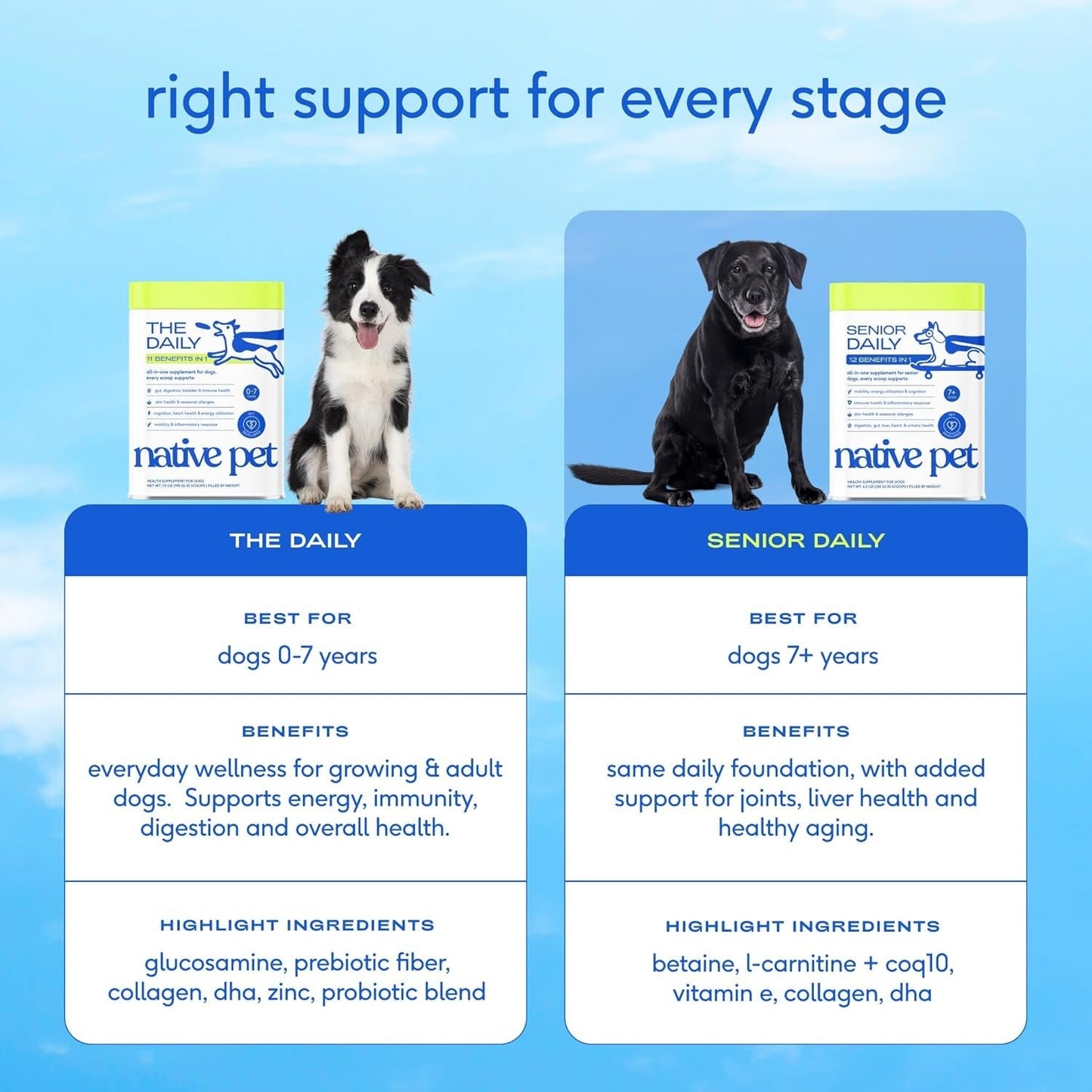 Senior Dog Multivitamin Powder 12-in-1 Joint Brain Digestion Immune 30 Scoops