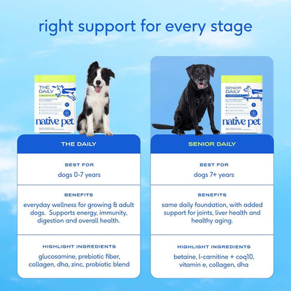 Senior Dog Multivitamin Powder 12-in-1 Joint Brain Digestion Immune 30 Scoops