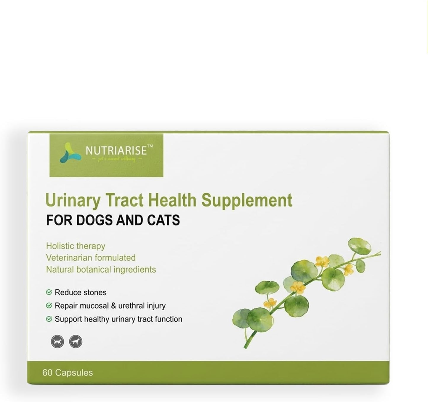 Dog Cat Urinary Tract Supplement Stone Breaker Bladder Kidney Crystal Support