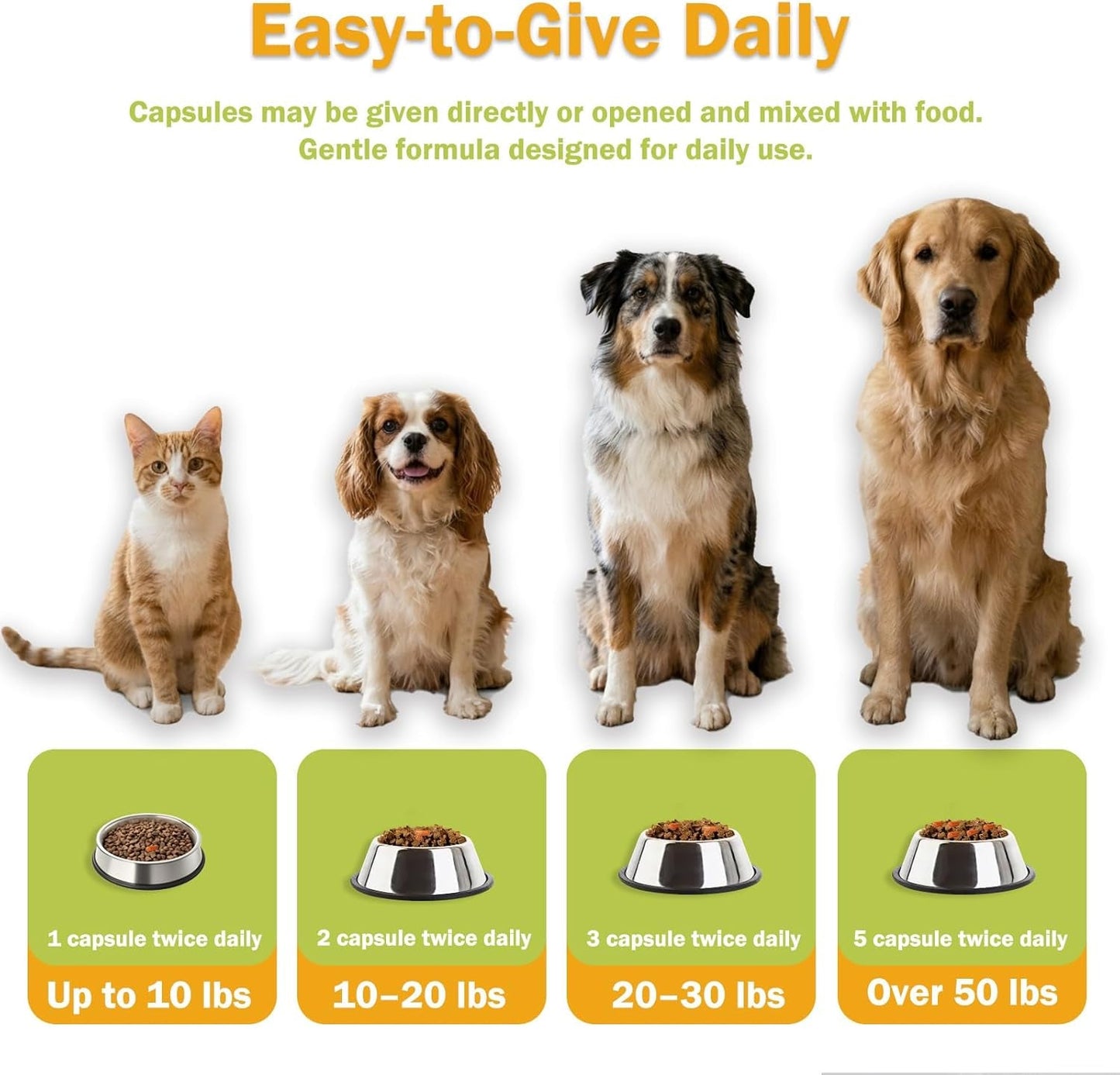 Dog Cat Urinary Tract Supplement Stone Breaker Bladder Kidney Crystal Support
