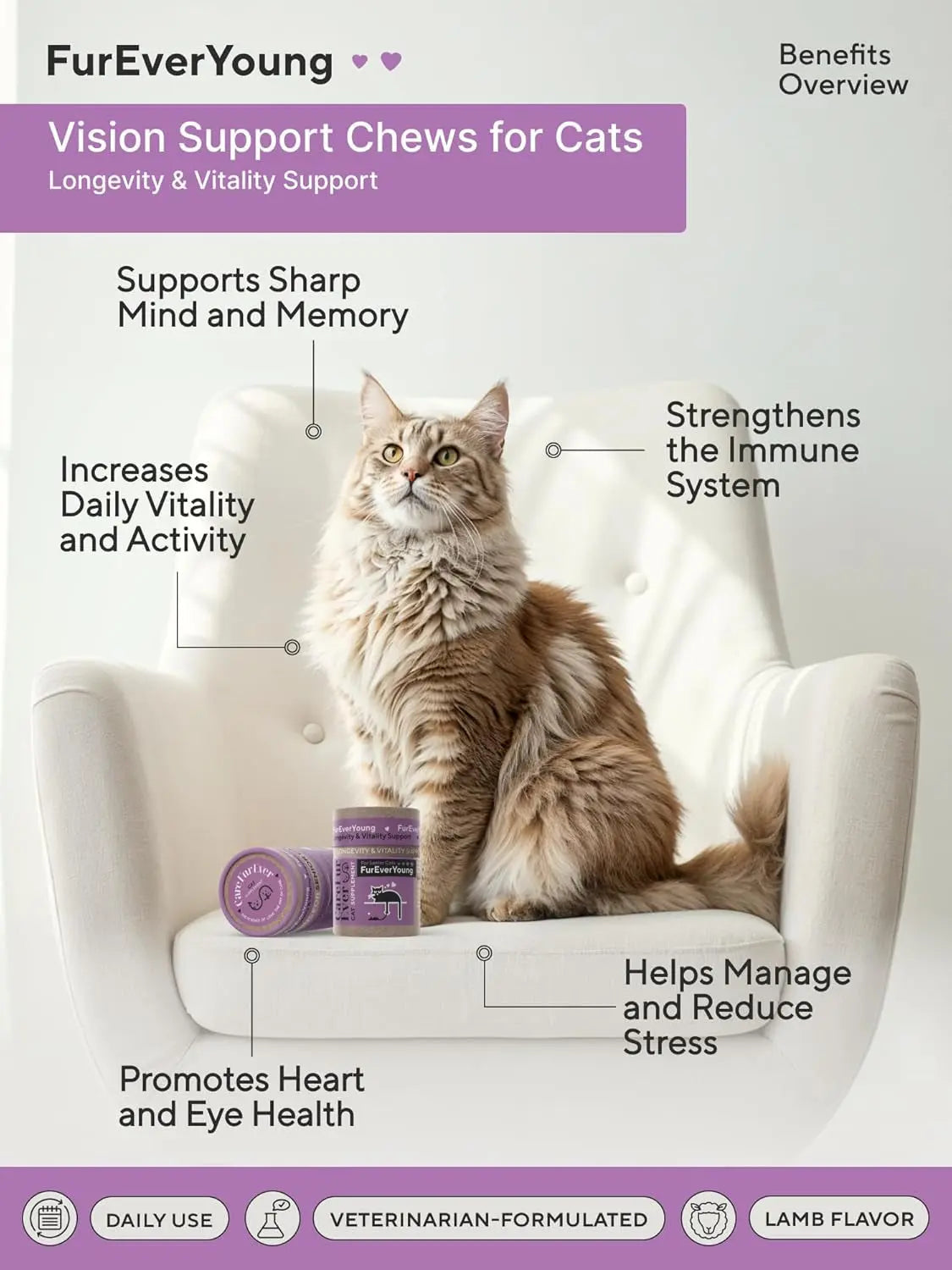 Senior Cat Vitamin Treats Taurine DHA Brain Vision Immune Support 30 Ct