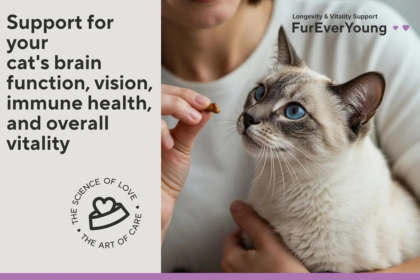 Senior Cat Vitamin Treats Taurine DHA Brain Vision Immune Support 30 Ct
