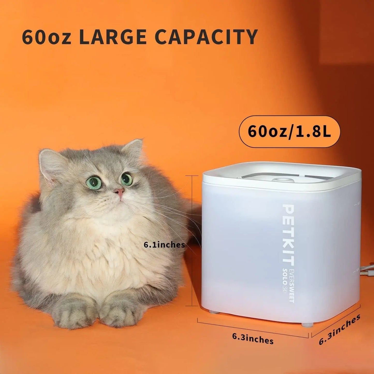 Wireless Cat Water Fountain 65oz 1.85L Ultra Quiet 25dB Detachable Pump Filters