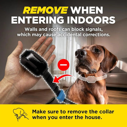 Wireless Dog Fence System No Dig Waterproof Rechargeable 3/4 Acre App