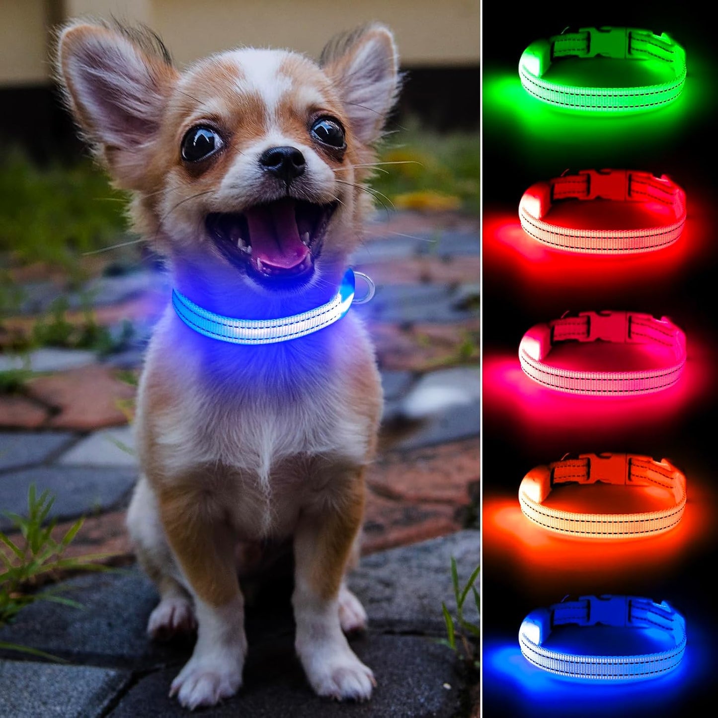 Light up Dog Collar for Small Dogs& Cats, Reflective LED Dog Collar Rechargeable Glowing Puppy Collar Safety Dog Lights for Night Walking (Royal Blue)