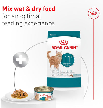 Senior Cat Wet Food 11+ Royal Canin Aging Thin Slices Gravy 3oz 12 Pack