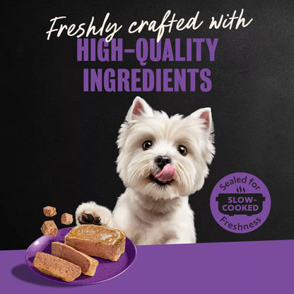 Cesar Classic Loaf in Sauce Grilled Chicken and Gravy Flavor Small Breed Wet Dog Food - 3.5Oz