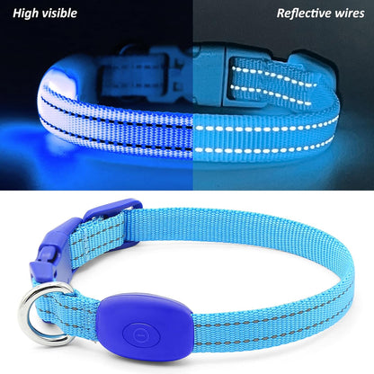 Light up Dog Collar for Small Dogs& Cats, Reflective LED Dog Collar Rechargeable Glowing Puppy Collar Safety Dog Lights for Night Walking (Royal Blue)