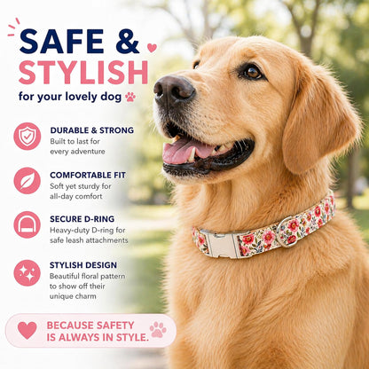 Pet Supplies, (Summer Blooms) Cat Collar, Dog Collar, Cat Leash, Dog Leash, Small Dog Collar, Medium Dog Collar, Large Dog Collar (Pet Collar, M)